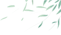 fd9b49711266e6e1f7bb8fc1a56a3d52.png