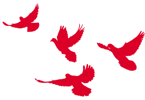 b1dbcf2d76a7ea9b26efd8aa94cdb576.png