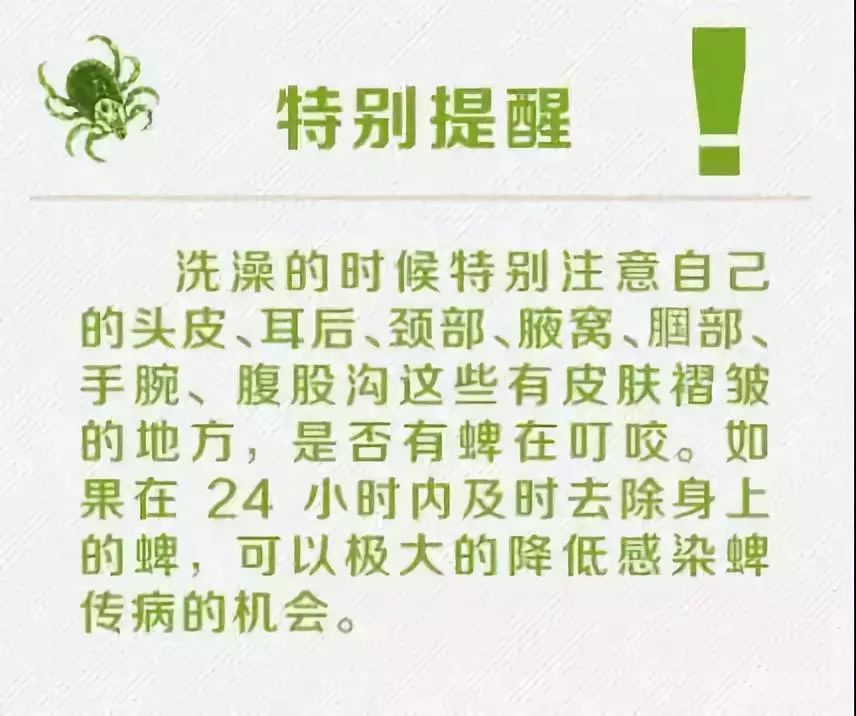 78e276cc186d6134cb547b2a3ea6fb66.jpg