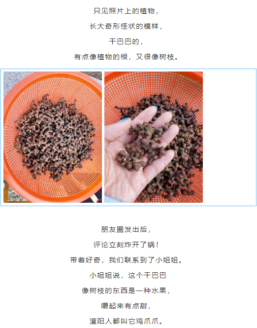 7af96bf3ab2cb515c9ebc92ee777834e.png