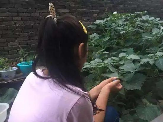 9157da0f98cfbf373170b7a1a98ff4b3.jpg