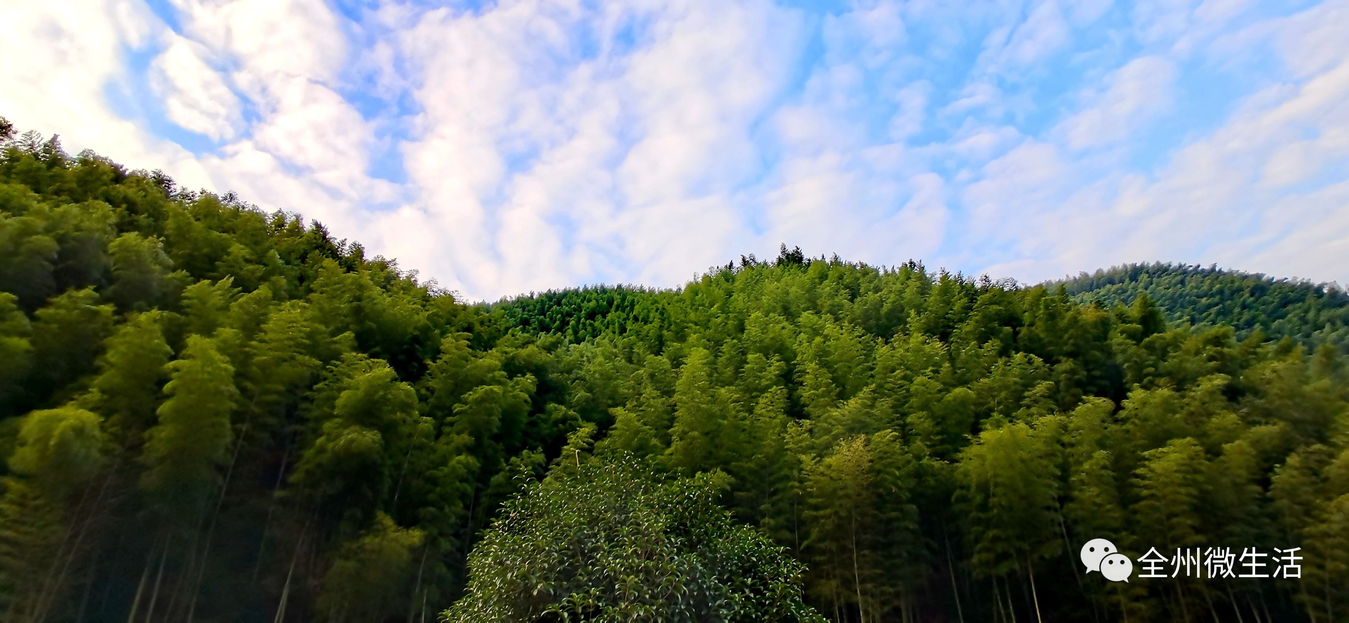a7d00fdeb99ae0634e62e13b0f088e92.jpg