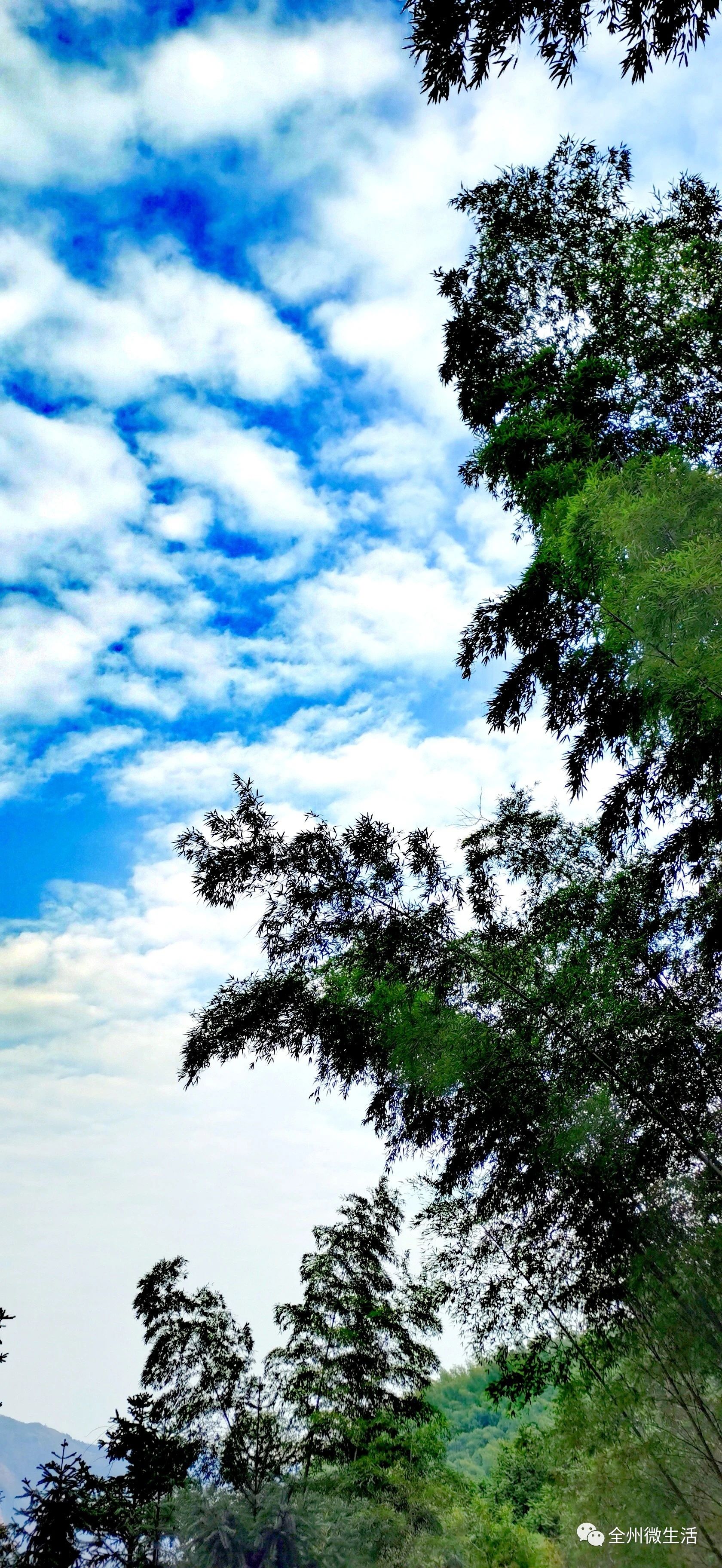 148ac8733cf811c261464b0ffba16260.jpg