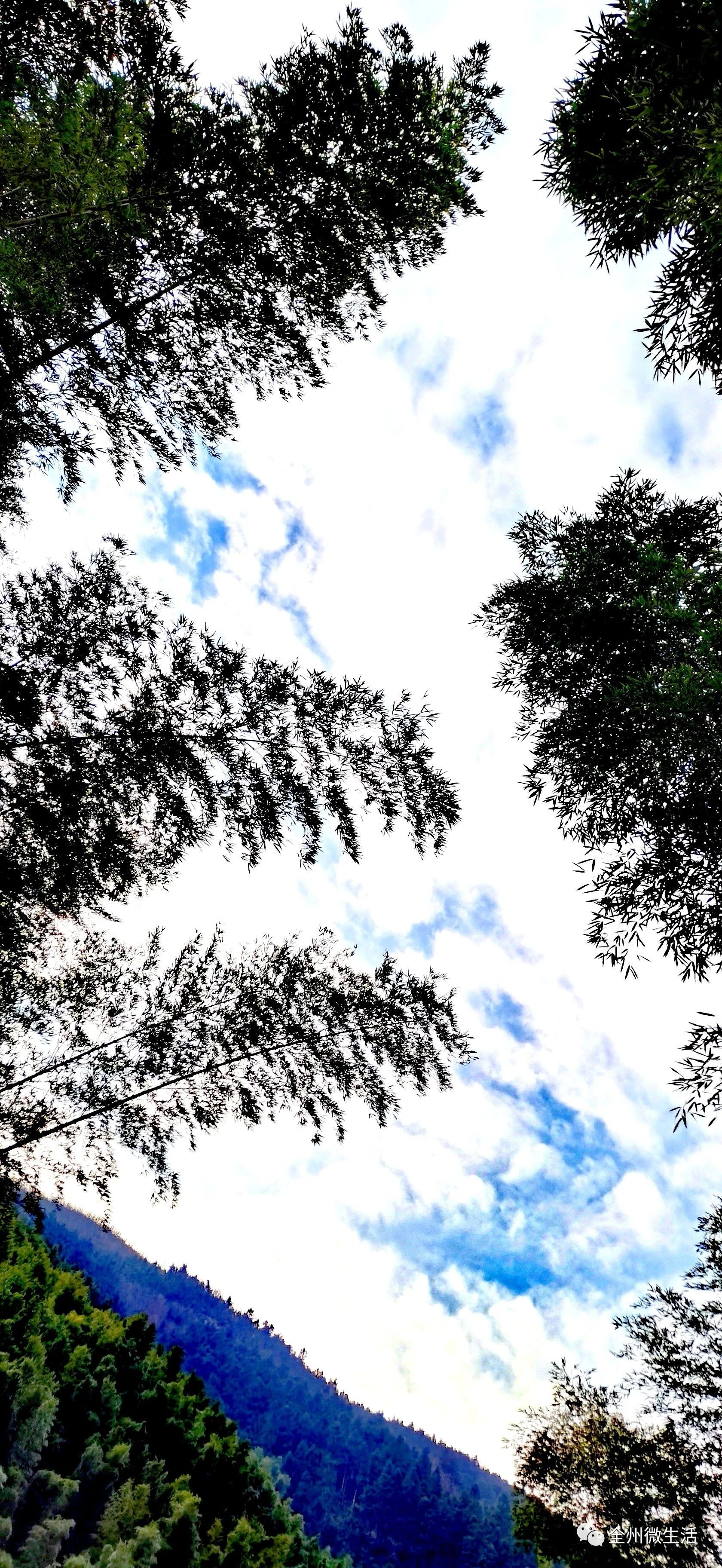 fc528184b243e1829854d1cbcea31622.jpg