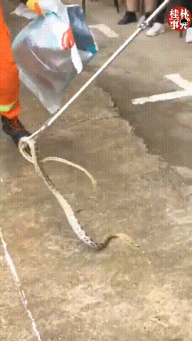 a32f5a10186006311ede8e3e04567c01.gif