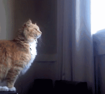 12f64c85d75f757267dc8c5c78ae7633.gif