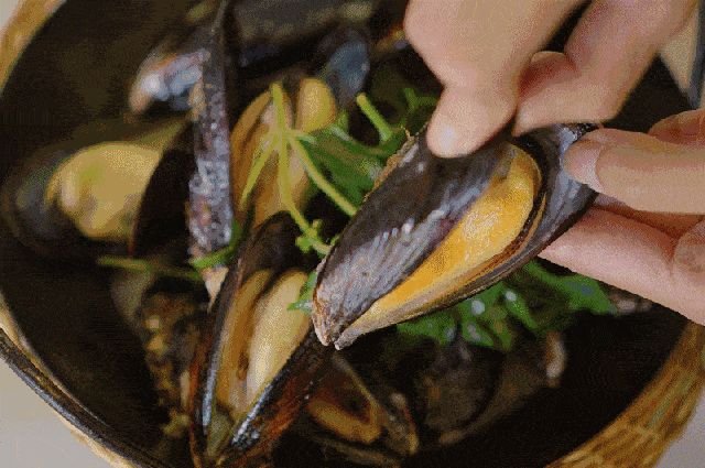 fbd978cf8d293a4ec8bf41c5ece7e4a7.gif