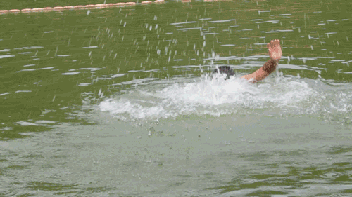 3a86861d65a6c7a34910d2f3cb8b2777.gif