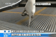 9f72a30a0645067813a8518caa46e51a.gif