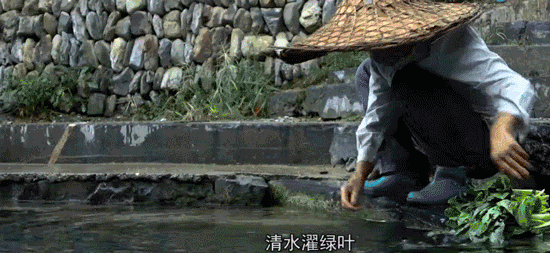 e402a0527393459bd4ed504878d09f8f.gif
