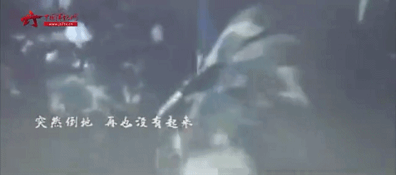 d13dfe25ded4d1cb7d964112bb00c9bb.gif