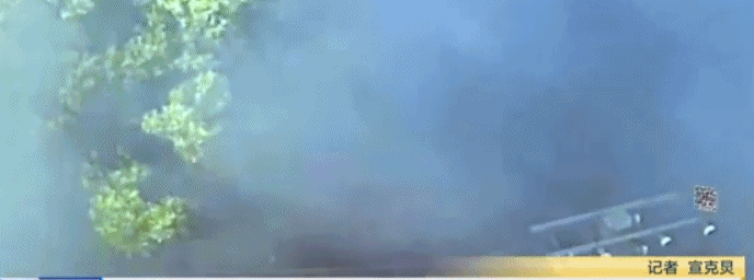789a4ee6adf24a5f6d1620fa7574e687.gif