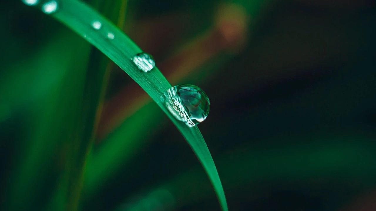 9ccf3089f4bd540117a5ed38653fc02d.jpg