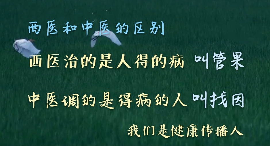 e2a69472ed5ad6aeecdde317b24efbbf.jpg