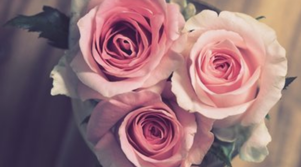 19e515fac8eeb9ae8e12452a134972b5.png