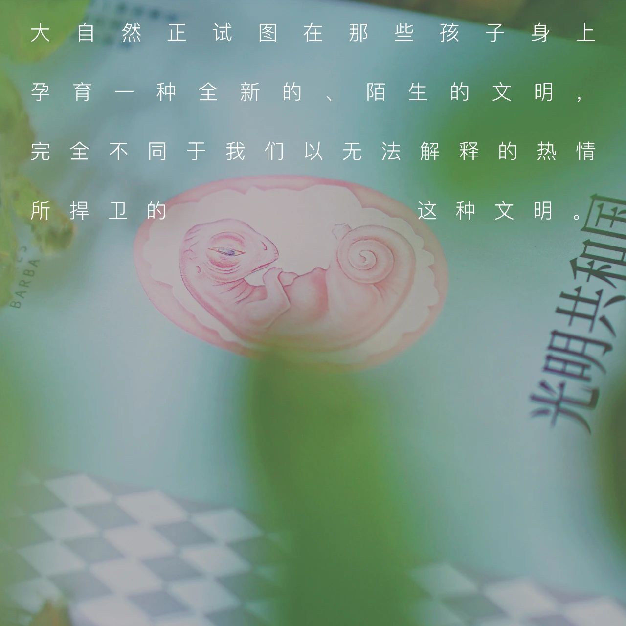 52980c28b79515338969d1f87c9c036a.jpg