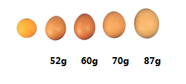 322196185dc2059637a4fbfa86b99e5c.png