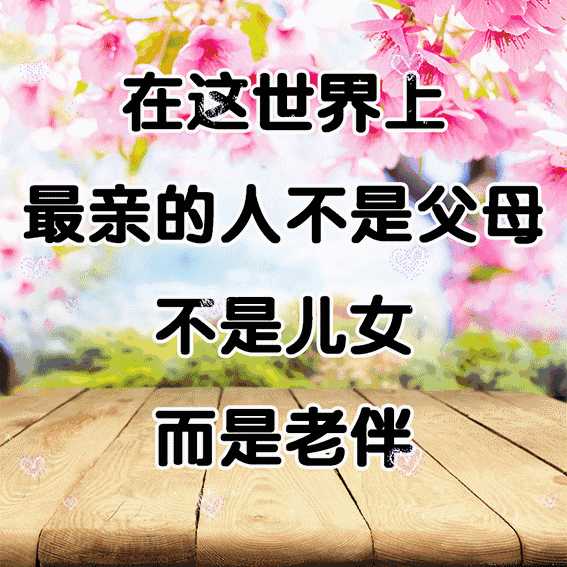 c68aa15fda5ac8d5add77fa6870a1cb8.gif