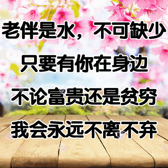 23aa046fe31f5985fc3e03191dc7f2d5.gif