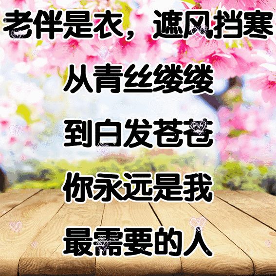 f70f2fd2a6826f5ef95a6f959c57857a.gif