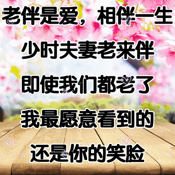 ff8d435a4abf49a7fc4303db22b233ae.gif