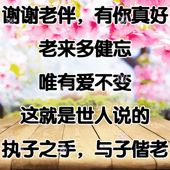 2cd78ed15aa2203383c5d9822f7b3be0.gif