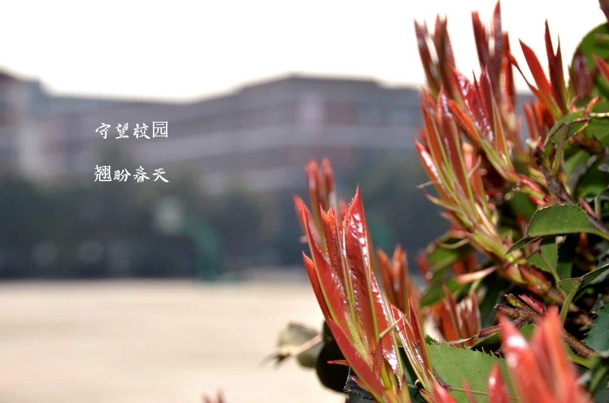 067a58dcbd1ad8cc1f6356b27c288f84.jpg