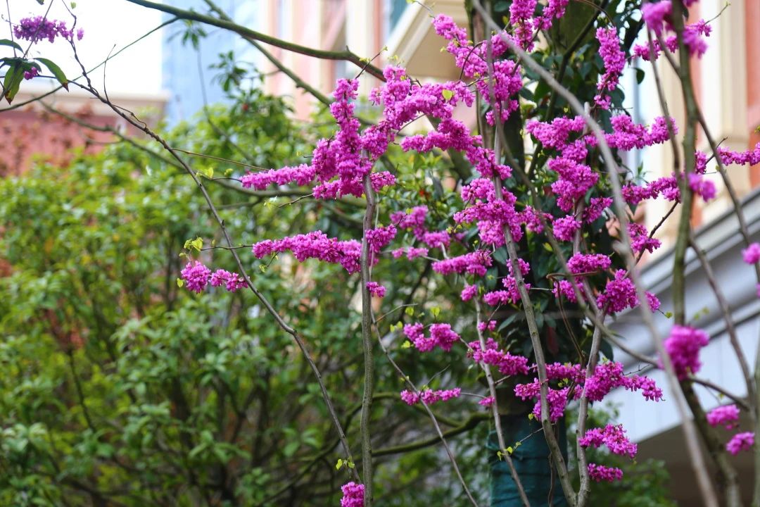 6d730d5e7798ab8f182cbf6694f9f9b7.jpg