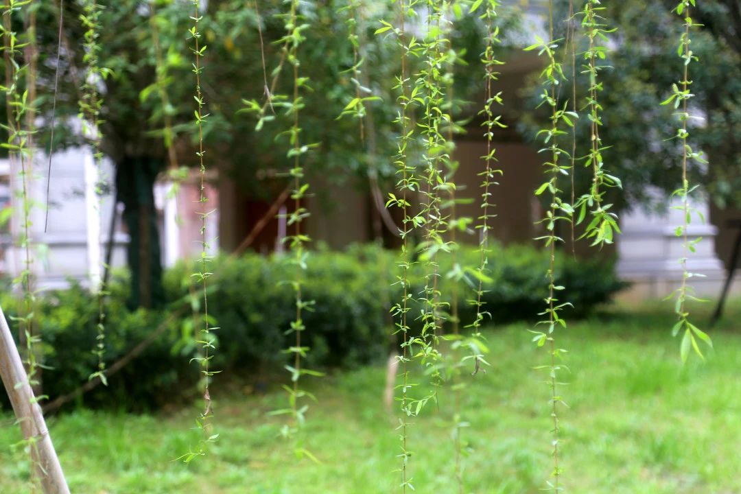 f181350706e07b76c25867ce8085e2c1.jpg