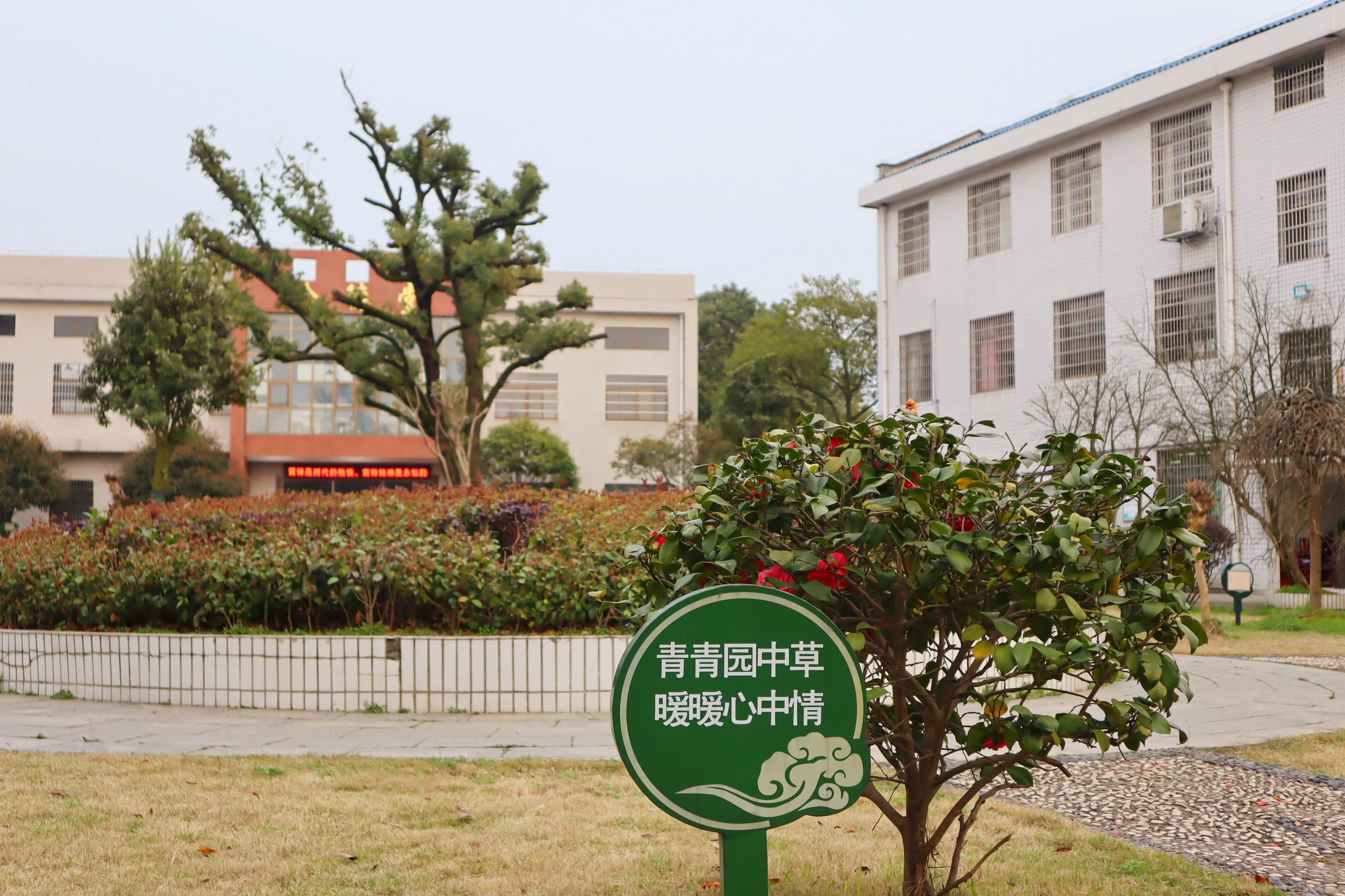 f85429d2913f66cea442a9cfcfa5957f.jpg