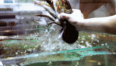 7d2bad4c610b7bf3d644bb3eb8067ea4.gif