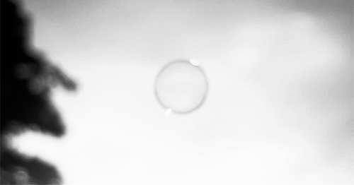 c8da181fecc3b881c00a991692f2dea6.gif