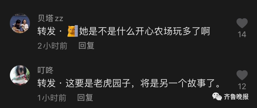 b3772d2d870cb7501fcbdd64aa3dde20.png