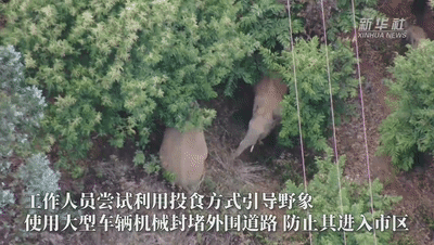f0ce34835e73de6d0c387ed0e5cce212.gif