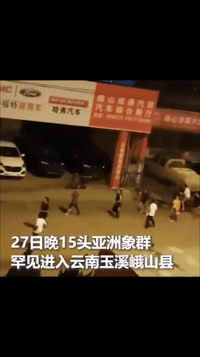 192b91058ede39d237fd3a0bc5fb9c48.gif
