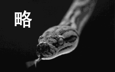 b2b9a091d0622c1e550e9047a78c39cc.gif