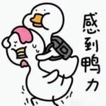 3b66d2ac4a48d38e518ae139dfec4a2e.jpg
