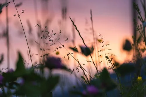 55ef1313f6d87e9a8b270c11ad25bc61.png
