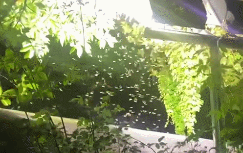 e421659115d576a3f5b2fe7f764607d6.gif