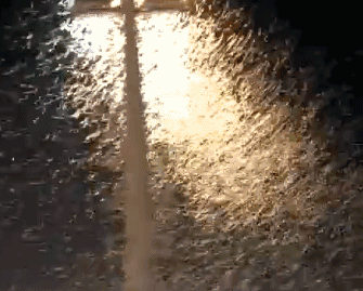 ddeb089b999cefe50d54f5b069606f8f.gif
