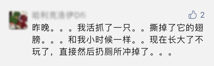 468c6a920e8687ed012271372eb8a45b.png