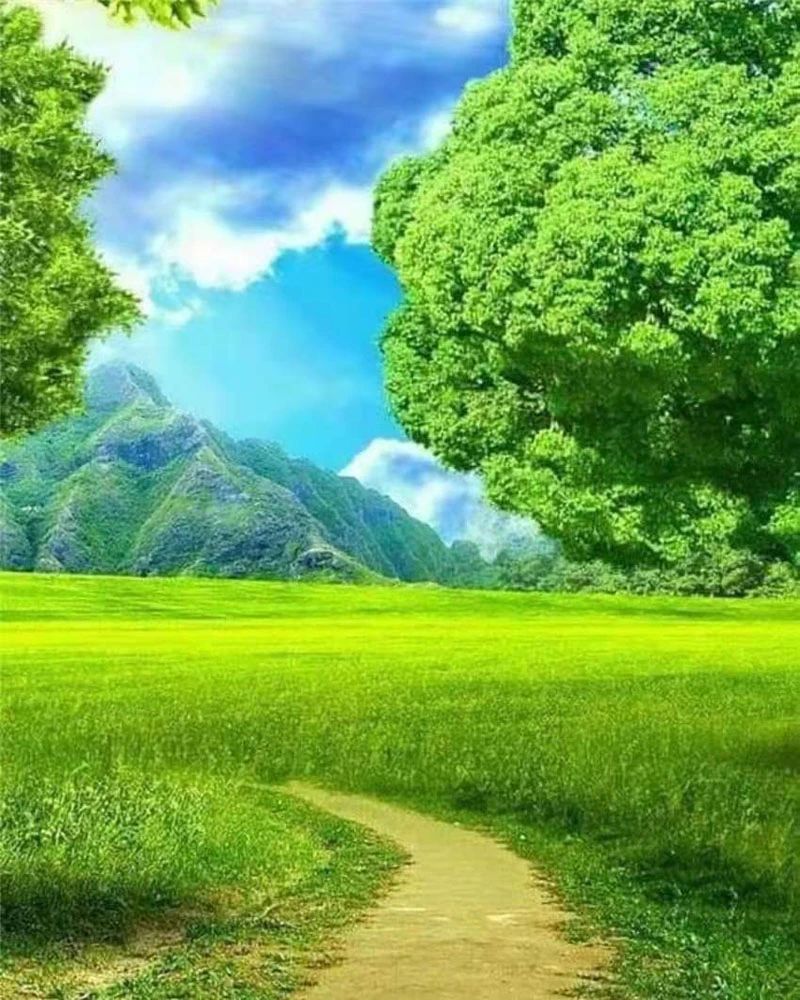 35b2dfca4f73fde3d4738bedc636ccf9.jpg