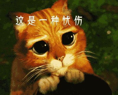 d5d92867b672252535e01595af56e627.gif