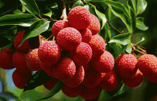18a1ac0afcf5b411ca153f85f64f059e.gif