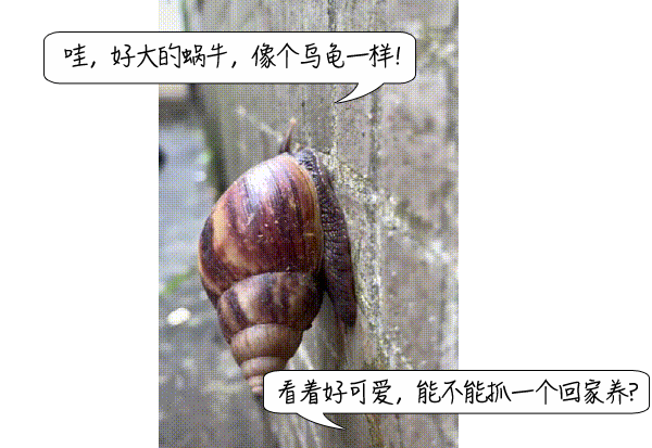 7d90b95107e93e353a64aaaeb9ca633f.gif