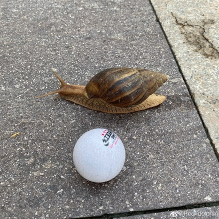 6d66287aff9b481f583816a2e54123e3.gif