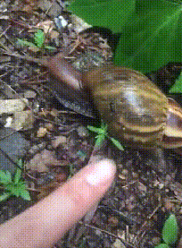 1953c38f8d25f00c8ed87f9b96f44b8e.gif