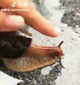fb7fca8fff6a36736f356d7a07337bd8.gif