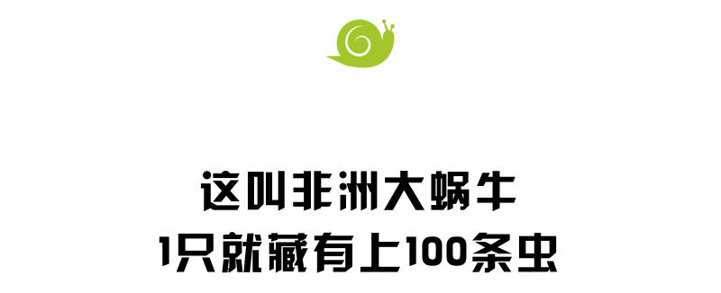 4ac416adffd9da318bc0563d5dacbec0.png