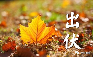 cfc71a5f82616d1b261a0e0d239867b6.jpg